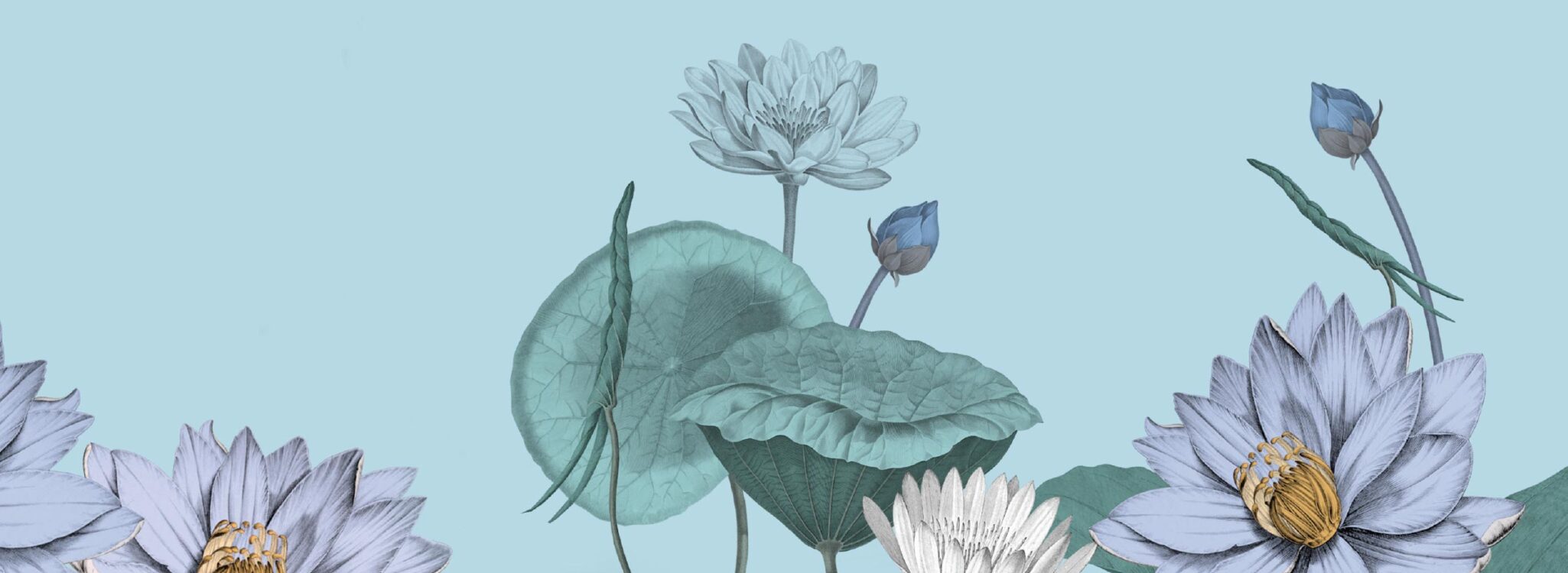 Marbalade of London flower illustration